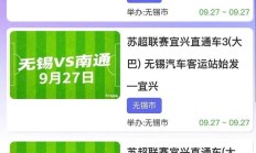 开云体育下载-精英赛事引发球迷关注，抢票热潮