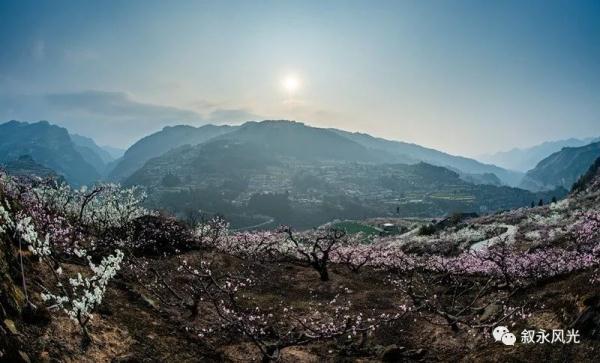 桃李争峰，强队攻防纷呈蔚为壮观