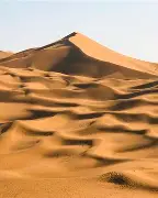 沙漠之鹰队在国际足球事关中获胜