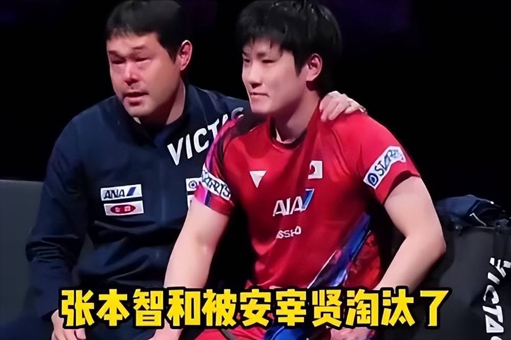 包含瑞典乒乓球队碾压波兰乒乓球队，张本智和送出助攻的词条