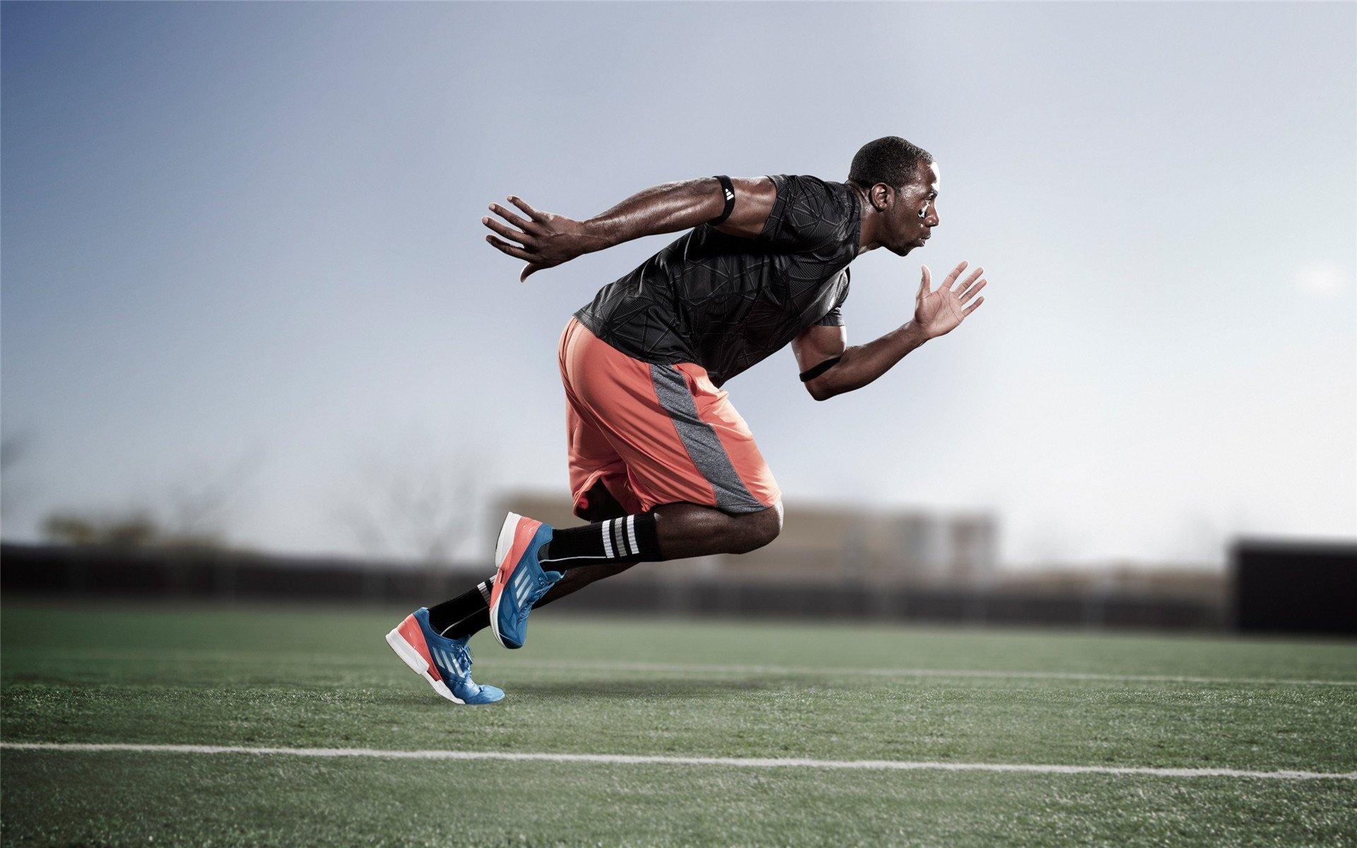 天外飞仙与血肉长城，当武切维奇统治被步行者肢解