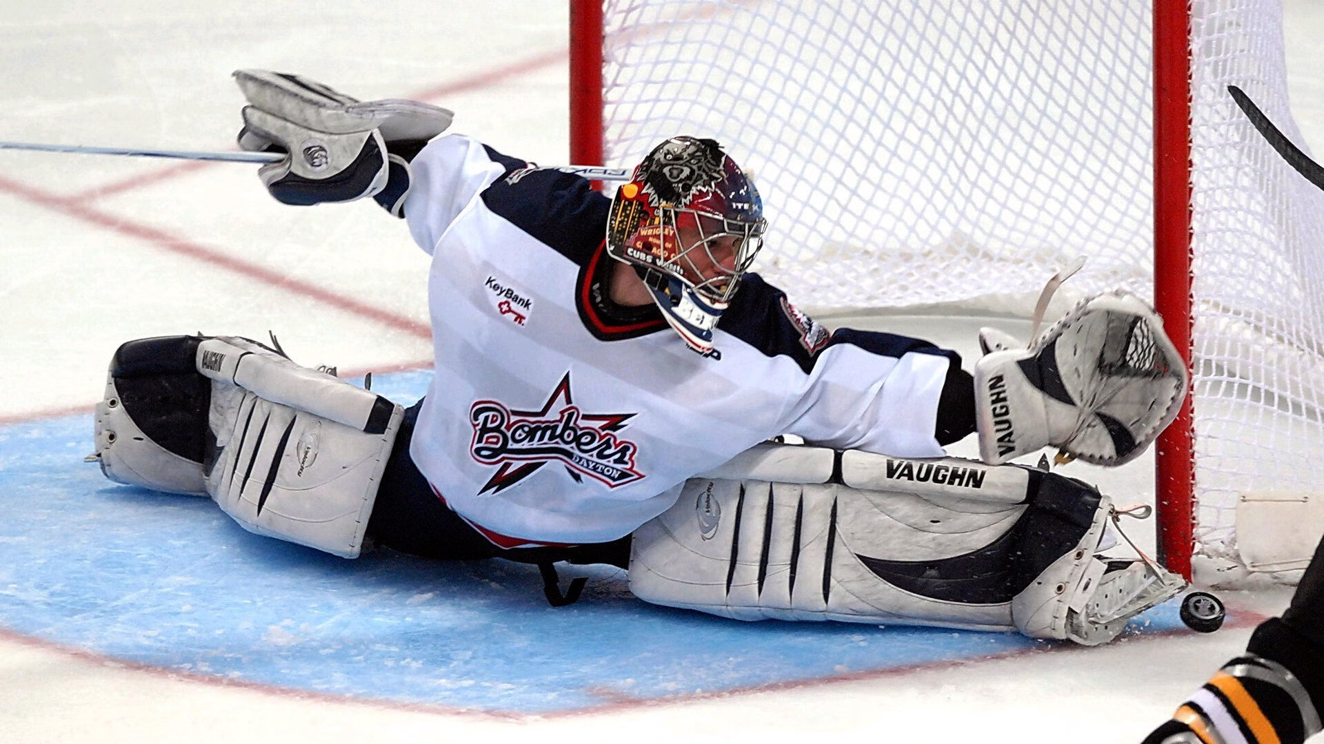 猛虎与困兽，红牛二队横扫威廉姆斯，诺里斯闪耀成最大亮点